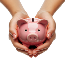 hands holding a piggy bank 