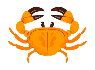 Cute cartoon crab illustration on white background. Playful and colorful crab with orange shell and raised claws, ideal for marine, beach, and kids design.