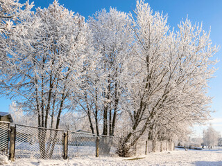 Metal fence  dusted  with snow