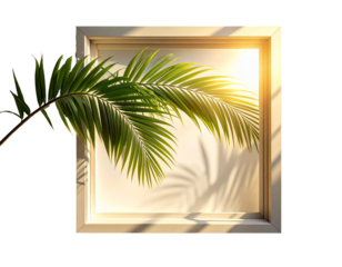 Tropical Window Frame Shadows with Soft Morning Light