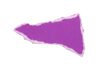 Pieces of torn or cut purple paper, design elements isolated on white background .
