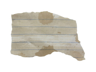 Pieces of notebook paper with white old torn or cut lines. Design elements isolated on white background.