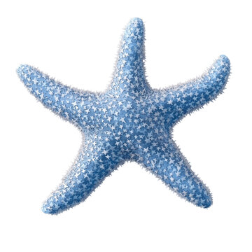 Blue starfish isolated on transparent background, marine sea star PNG cutout, ocean beach shellfish texture icon