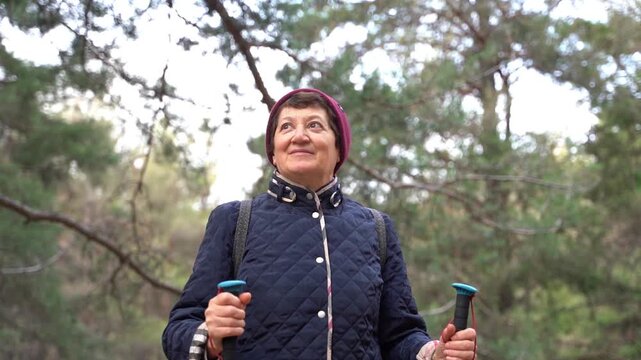 Smiling senior woman exploring nature, looking up at tall trees in forest