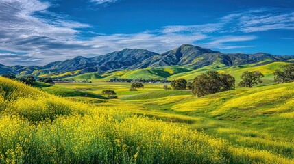 Sunny spring valley landscape with green rolling hills under a blue, partly cloudy sky