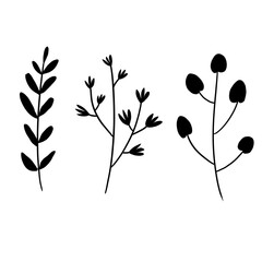 Collection leaves with black colors