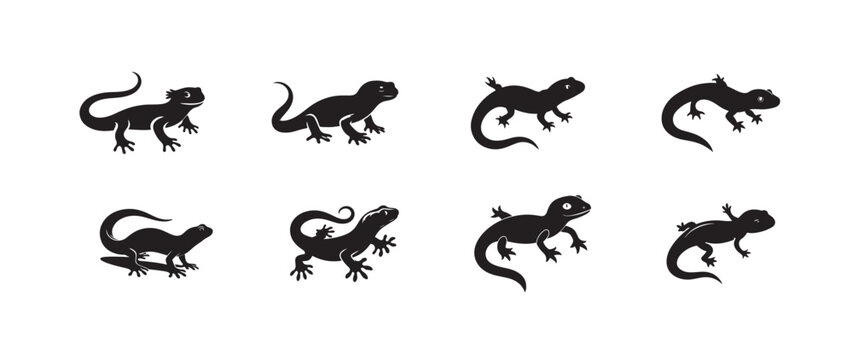 Gecko lizard silhouette vector collection, reptile illustration design, black animal outline, exotic crawling gecko artwork, nature reptile drawing, wildlife icons set, vector illustration.