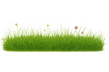 Fresh green grass with blooming spring flowers developing on a natural meadow growth, transparent background concept