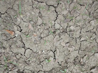 Fototapeta premium Dry Ground in Indonesia