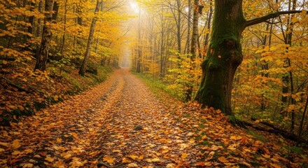Autumn forest path covered in fallen leaves a serene and peaceful landscape