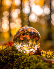 Glass orb with leaf reflections, Generated image	