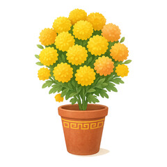 Kumquat Tree in Pot for Vietnamese New Year