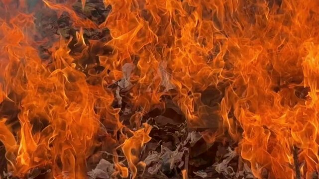 燃える炎 襖の焼却　テクスチャーマイムービー