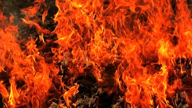 燃える炎 襖の焼却　テクスチャーマイムービー