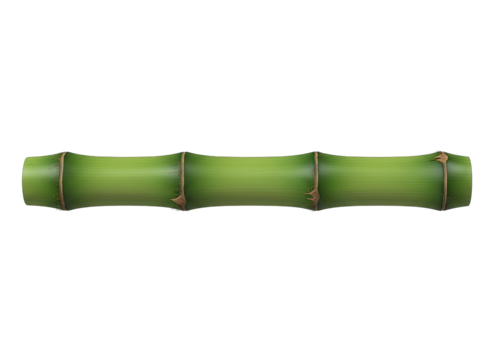 Isolated Bamboo Segment With Nodes And Green Color Rendered In 3D On Transparent Background