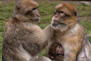 please supply text to rephrase, providing sample text is necessary for creating paraphrased versions