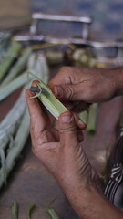 Traditional Hand-Cleaning Method for Cardoon &ndash; Cardoon Culinary Guide: How to Cook With Cardoons, Celery-Like Stalks, Cynara cardunculus Preparation