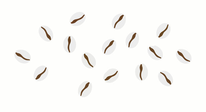 Cowrie Shells Divination Vector Game of Buzios Spiritual Oracle Background