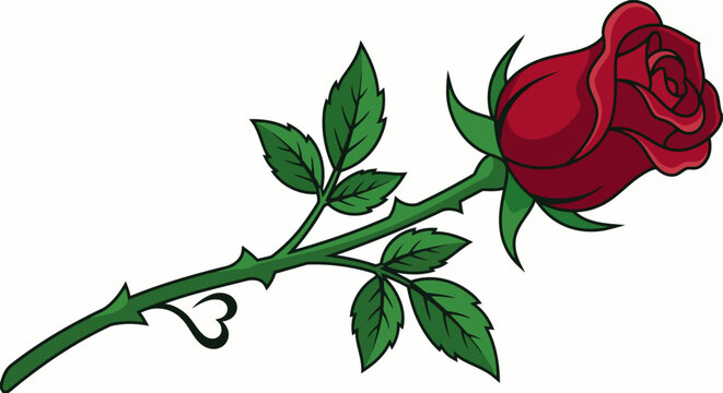 Red Rose Vector Illustration Floral Love Passion Romance Background Pomba Gira