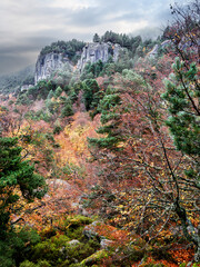Oto&ntilde;o en los Picos de Urbi&oacute;n