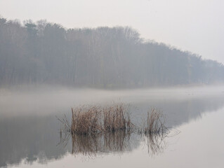 A river in fog and reeds on a cloudy autumn day