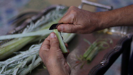Traditional Hand-Cleaning Method for Cardoon &ndash; Cardoon Culinary Guide: How to Cook With Cardoons, Celery-Like Stalks, Cynara cardunculus Preparation