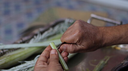 Traditional Hand-Cleaning Method for Cardoon &ndash; Cardoon Culinary Guide: How to Cook With Cardoons, Celery-Like Stalks, Cynara cardunculus Preparation
