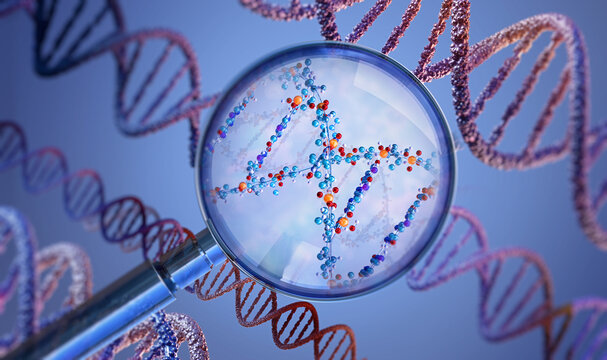 Genetic analysis concept. Magnifying glass zooming in on a DNA molecule revealing atomic structure. scientific analysis, biotechnology. 3D rendering for medical science, forensics, genome sequencing