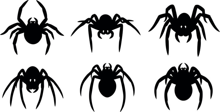 Spider silhouettes vector black spider icons simple spider shapes isolated on white background