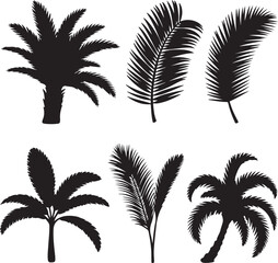 Palm tree silhouettes collection tropical leaves design black and white graphic