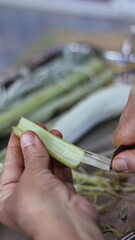 Traditional Hand-Cleaning Method for Cardoon &ndash; Cardoon Culinary Guide: How to Cook With Cardoons, Celery-Like Stalks, Cynara cardunculus Preparation