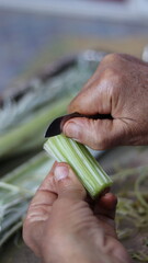 Traditional Hand-Cleaning Method for Cardoon &ndash; Cardoon Culinary Guide: How to Cook With Cardoons, Celery-Like Stalks, Cynara cardunculus Preparation