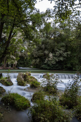 Germany park forest Munich