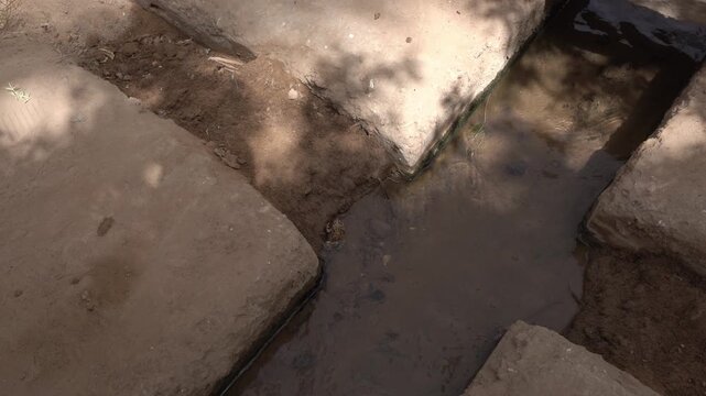 A trench dug directly into the ground to allow water to flow and be distributed. Truly ingenious as a system, especially since it's in an oasis.
