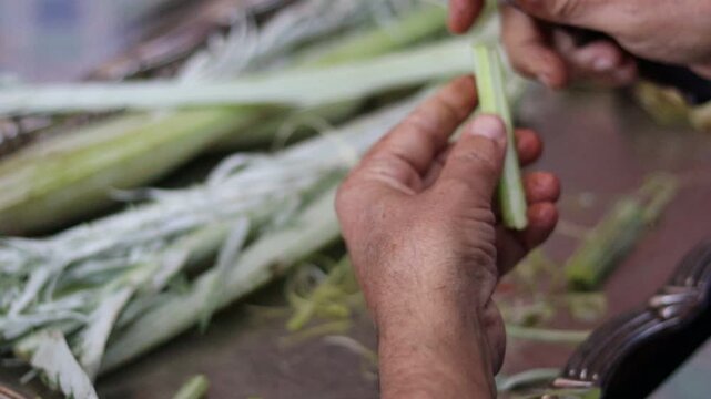Traditional Hand-Cleaning Method for Cardoon &ndash; Cardoon Culinary Guide: How to Cook With Cardoons, Celery-Like Stalks, Cynara cardunculus Preparation