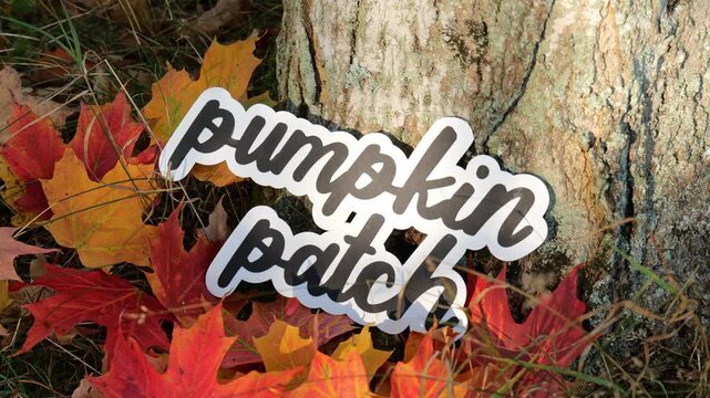 The words Pumpkin Patch leans against a tree stump with a pile of red, orange, yellow colorful leaves outside 4K Video Stock Footage