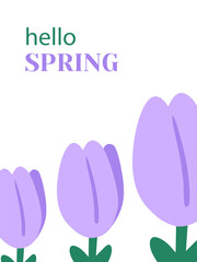 Hello Spring vector illustration featuring blooming purple tulips. Perfect for celebrating the arrival of spring. The imagery captures the freshness and vibrancy of the season.
