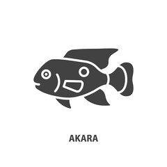 Akara turquoise glyph icon. Aquarium fish vector sign.