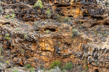 Barranco del Rey gorge, near Roque del Conde mountain. Tenerife, Canary Islands.