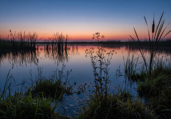 Obraz premium Tranquil dawn unfolds over a serene wetland, casting a warm, ethereal glow on the calm water as reeds and grasses stand silhouetted against the twilight sky, reflecting a peaceful natural panorama