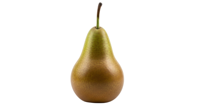 Isolated European pear with a slender stem, a type of fruit that ripens best off the tree