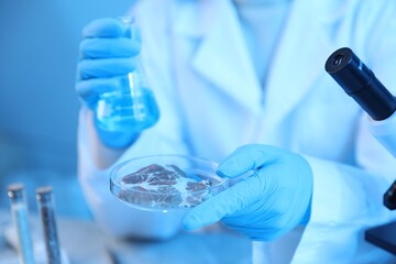Fototapeta premium GMO concept. Scientist working with sample of meat at table, closeup