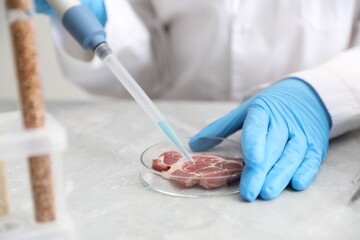 GMO concept. Scientist working with sample of meat at table, closeup