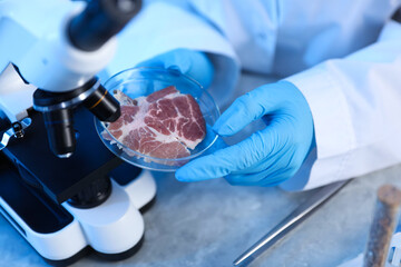 GMO concept. Scientist working with sample of meat at table, closeup