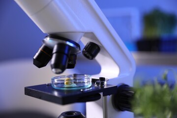 GMO concept. Microscope with product sample in laboratory, closeup