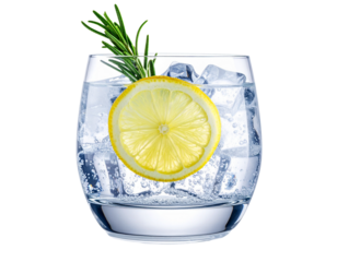 Clear Glass of Gin and Tonic with Lemon Slice and Rosemary, PNG Isolated” 