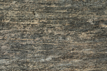 Macro texture of old dry wood with natural grain and cracks. Ideal background for design, woodworking, interior, craft, and creative projects