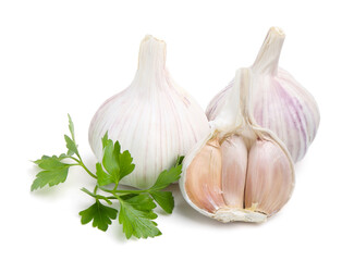 Fresh garlic and parsley isolated on white