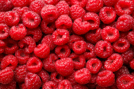 Fresh ripe raspberries as background, top view