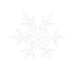 Snowflake frozen ice frost winter cold frame border white transparent decoration pattern.
